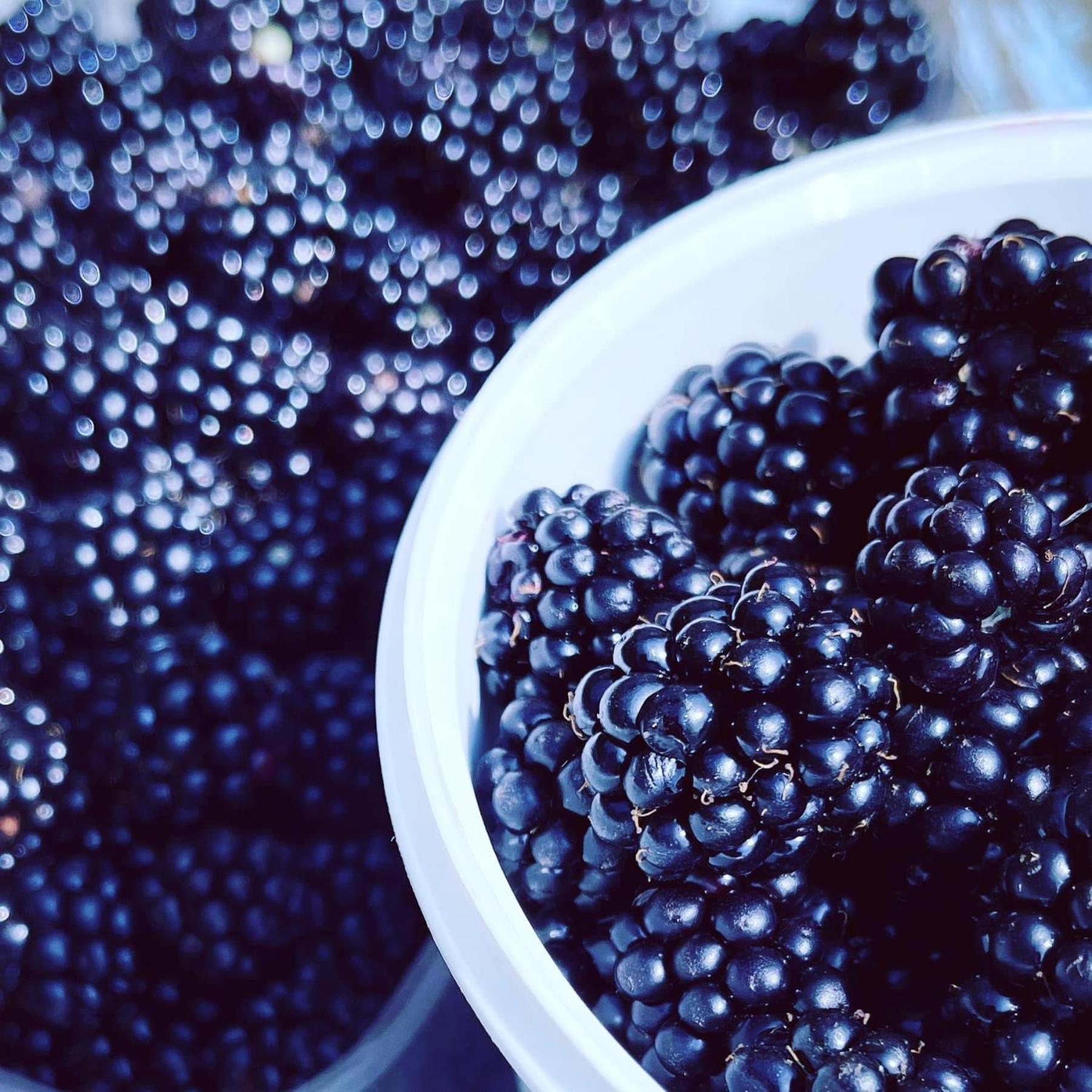 Blackberryhouse Ærøskøbing Bagian luar foto