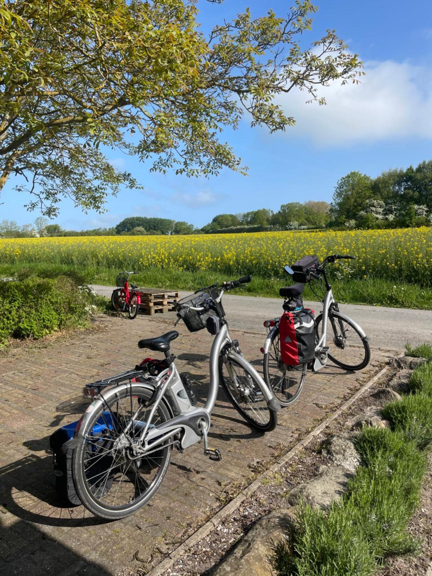 Blackberryhouse Ærøskøbing Bagian luar foto